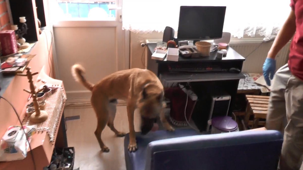 i Bursa'da narkotik operasyona balkonlardan destek