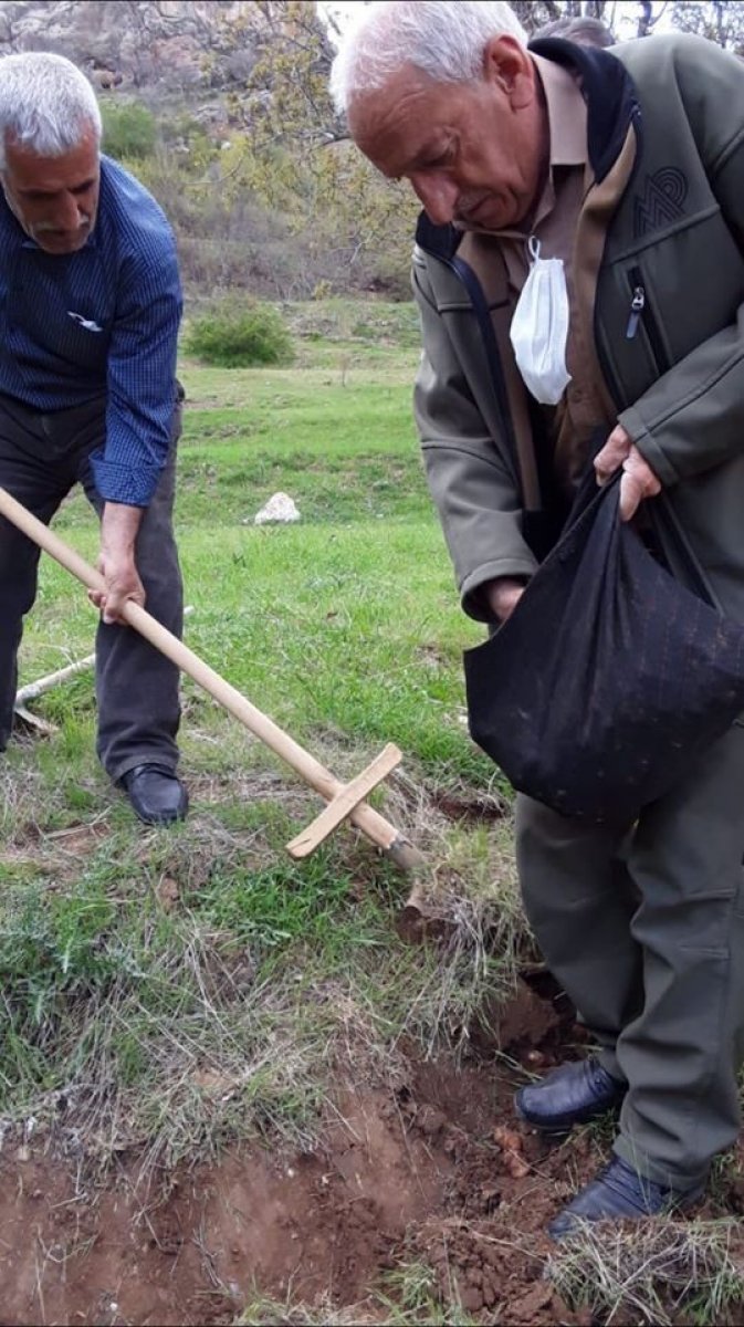 Elazığ'da kaçak salep soğanı toplayan 6 kişiye ceza