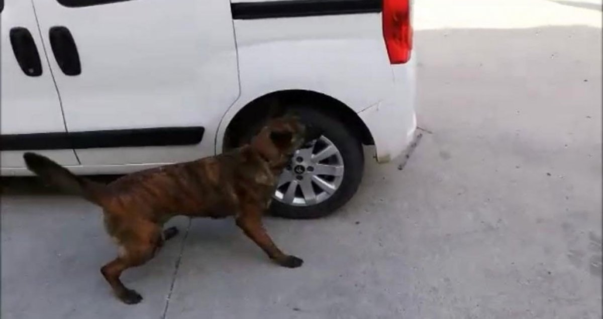 i Aracın çamurluğuna uyuşturucu gizlemişler