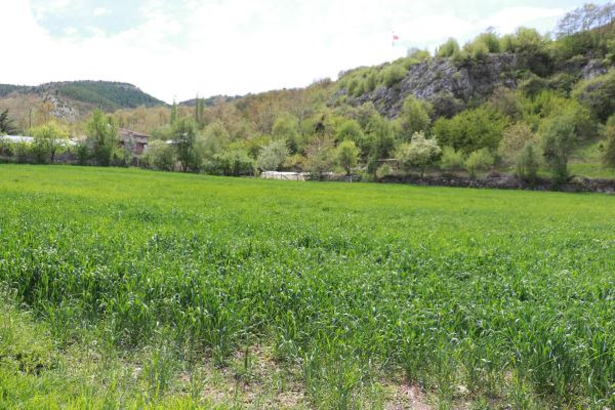 d Samsun'da ambulans helikoptere izin vermeyen kadın konuştu