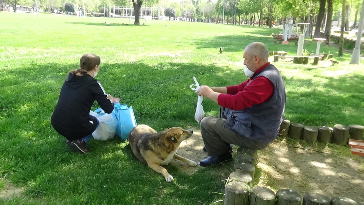 3 yıldır elleriyle beslediği kargayı yine aç bırakmadı