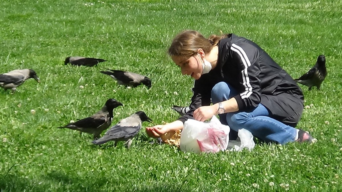 3 yıldır elleriyle beslediği kargayı yine aç bırakmadı