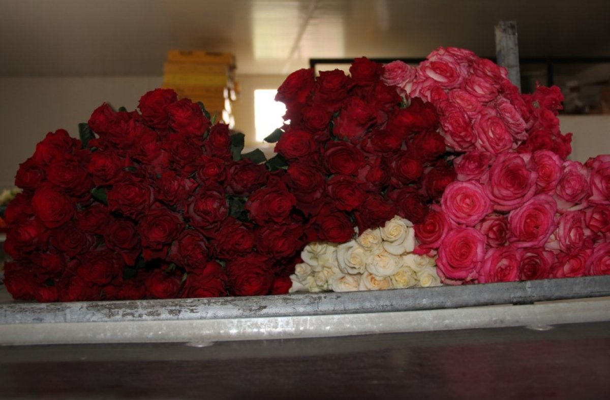 Koronavirüs çiçekçileri fena vurdu