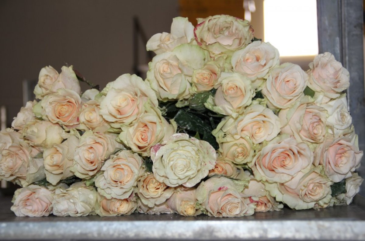 Koronavirüs çiçekçileri fena vurdu