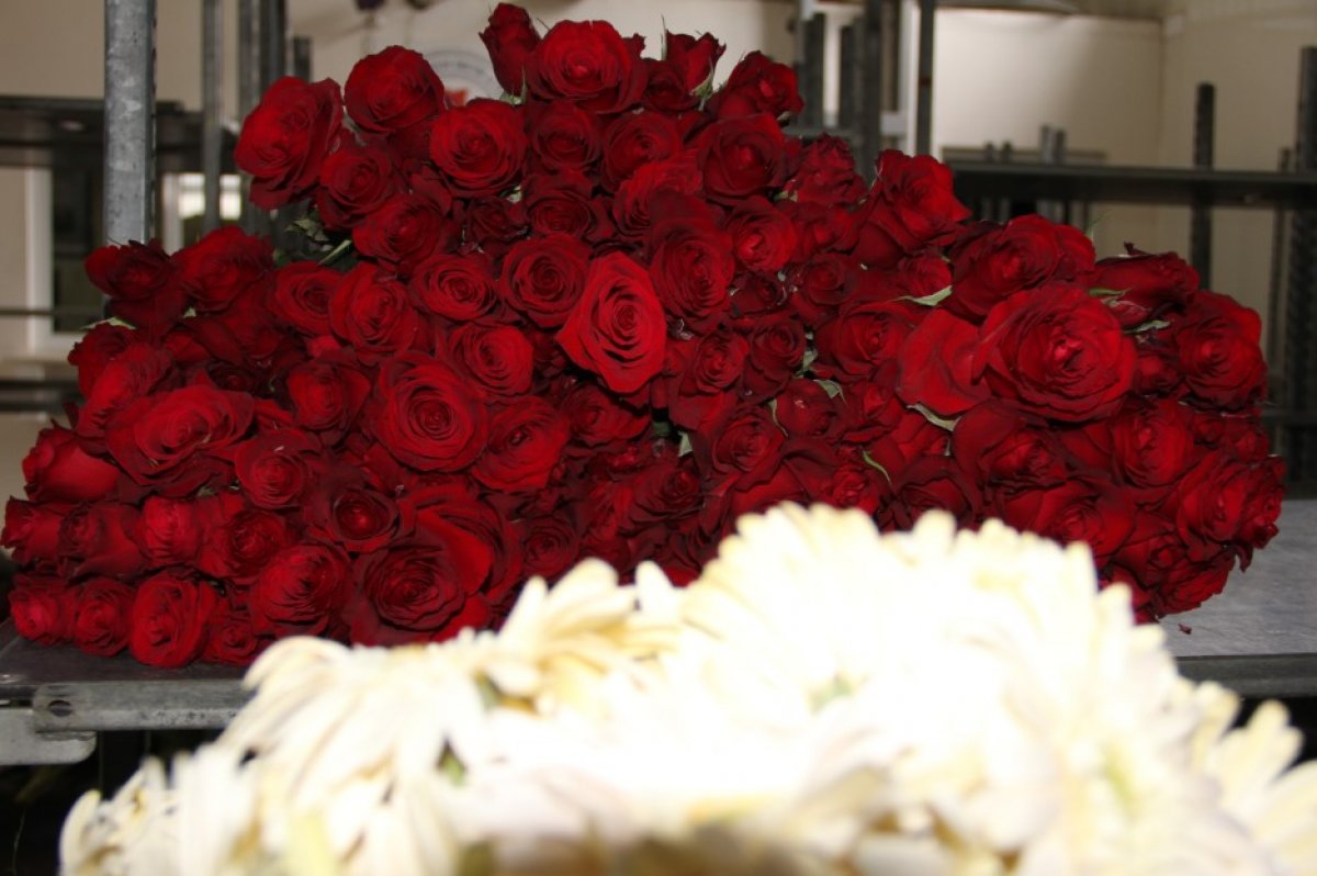 Koronavirüs çiçekçileri fena vurdu