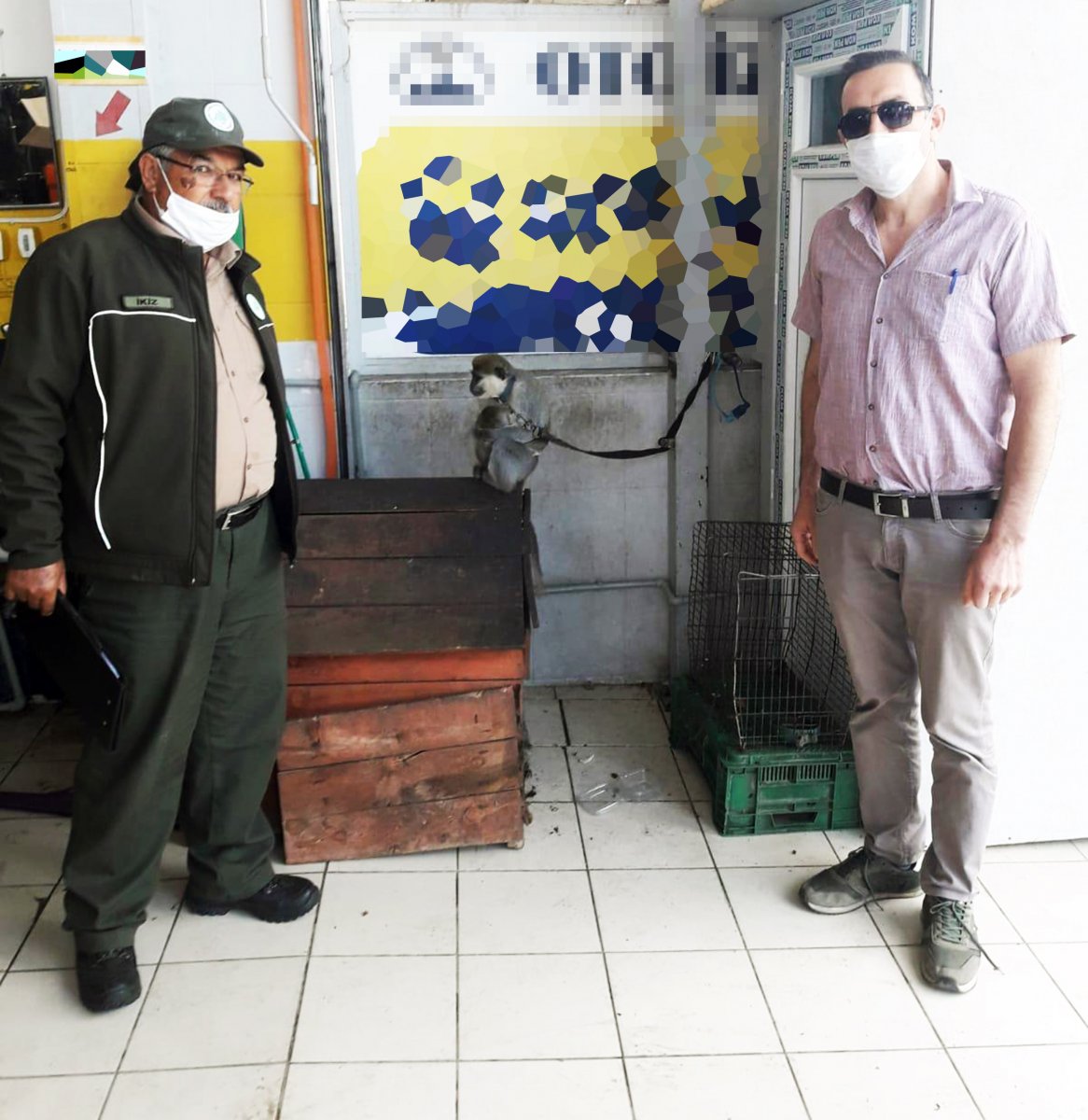 i Evinde maymun besleyen vatandaşa ceza