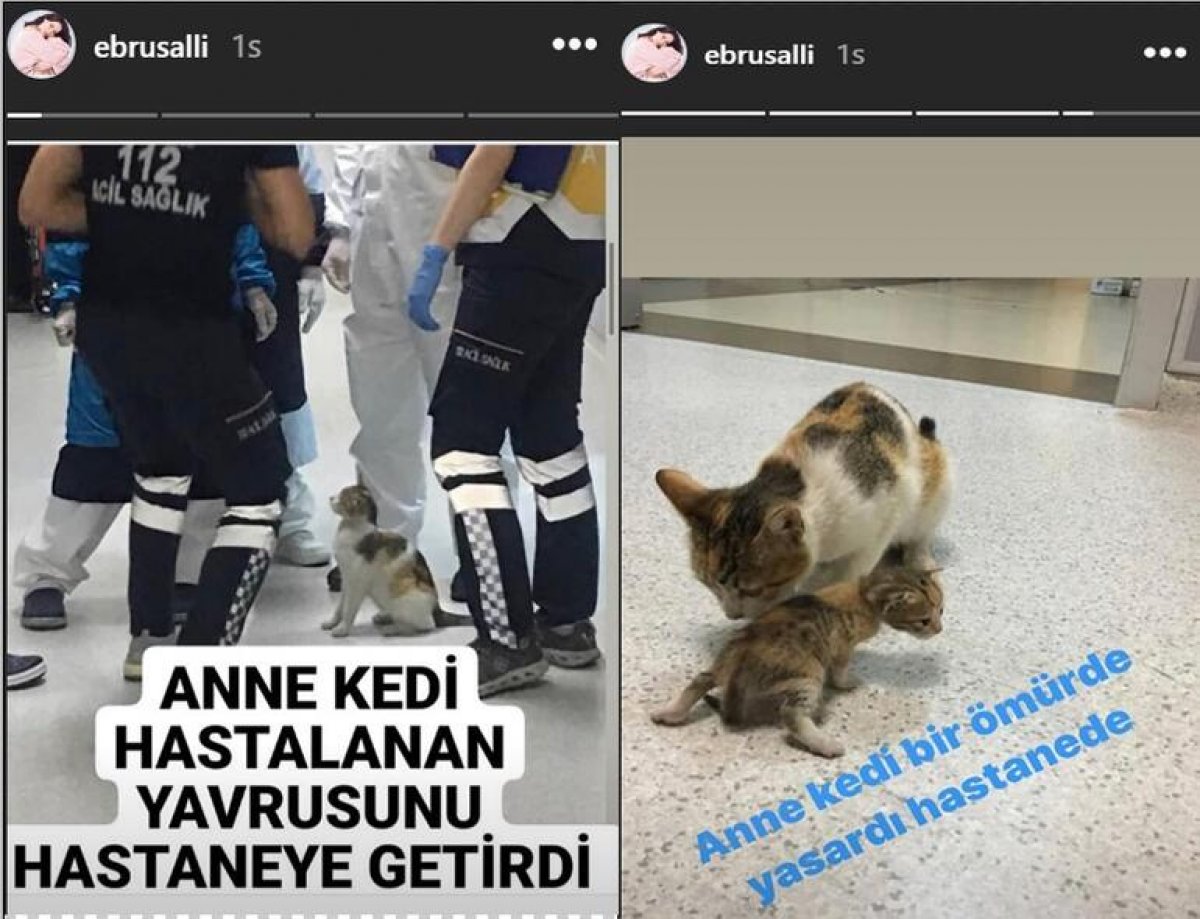 Ebru Şallı'dan duygulandıran paylaşım