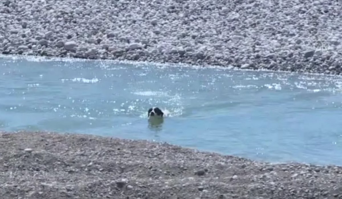 Konyaaltı sahilini boş görünce dayanamadı, cezayı yedi