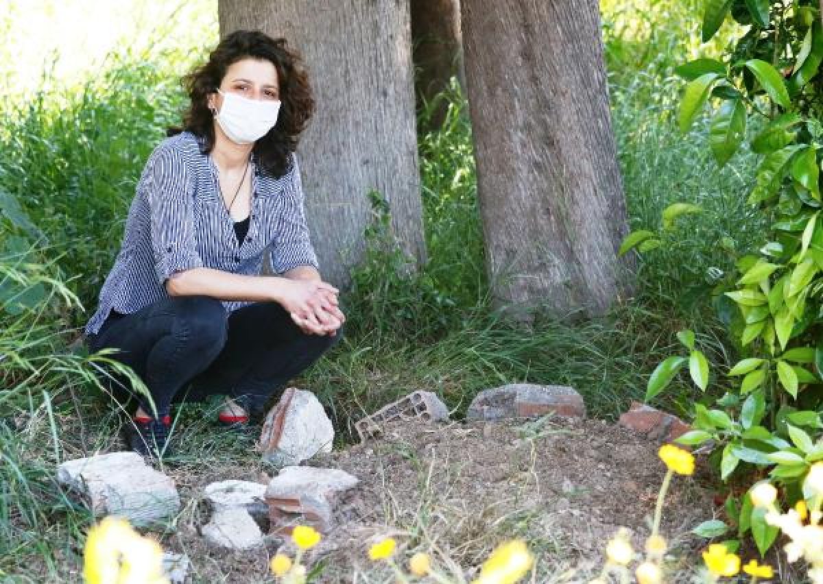 d Antalya'da 5 yavru köpek zehirlenerek öldürüldü