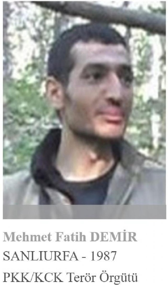 Tunceli'de gri listedeki terörist etkisiz hale getirildi