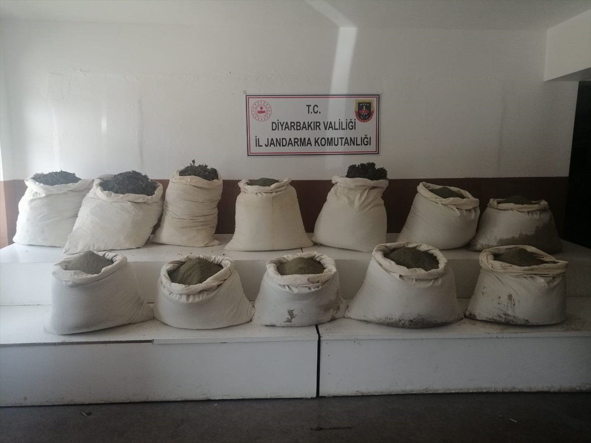 Terör örgütüne ağır darbe: 725 kilo esrar bulundu