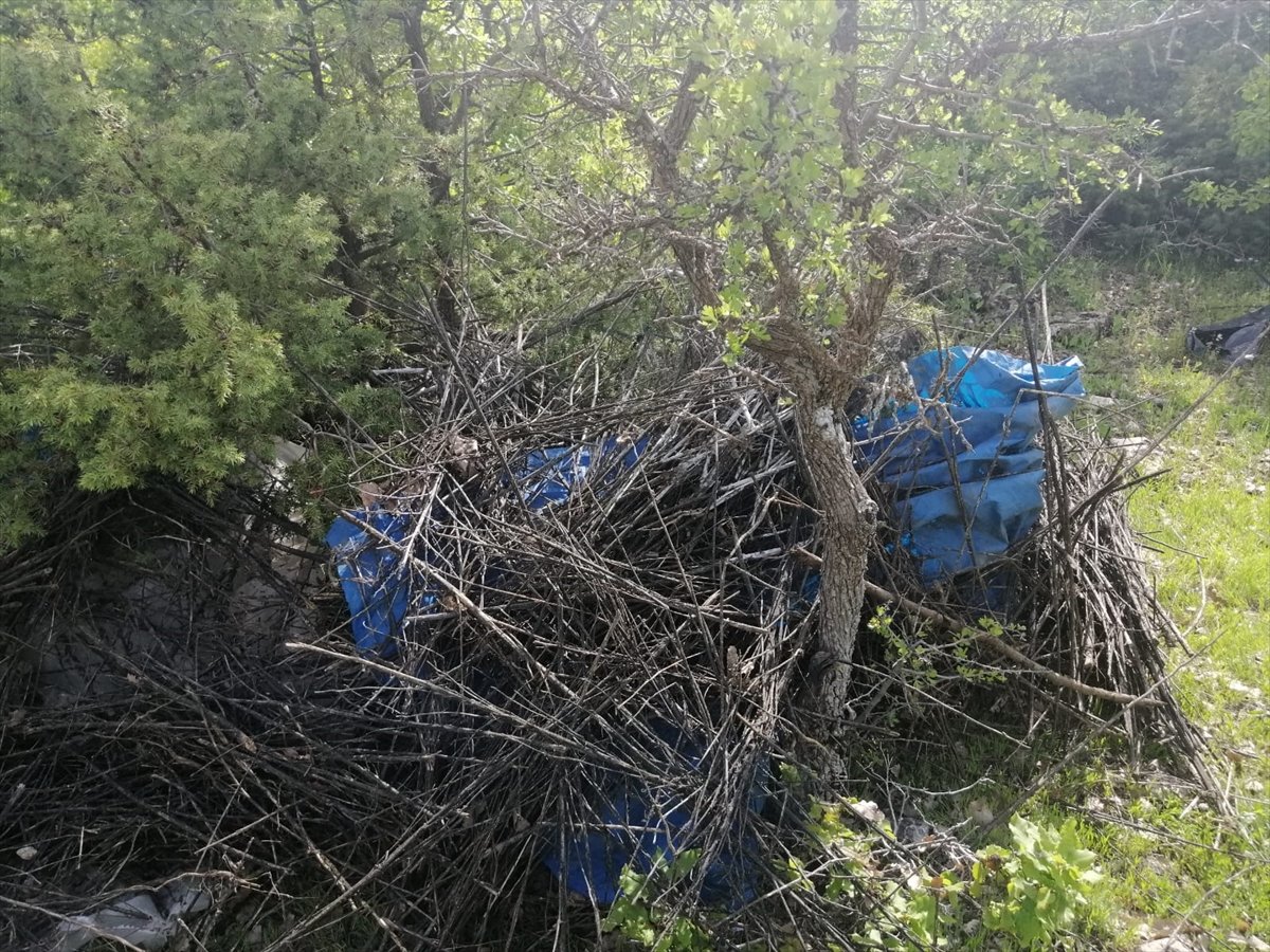 Terör örgütüne ağır darbe: 725 kilo esrar bulundu