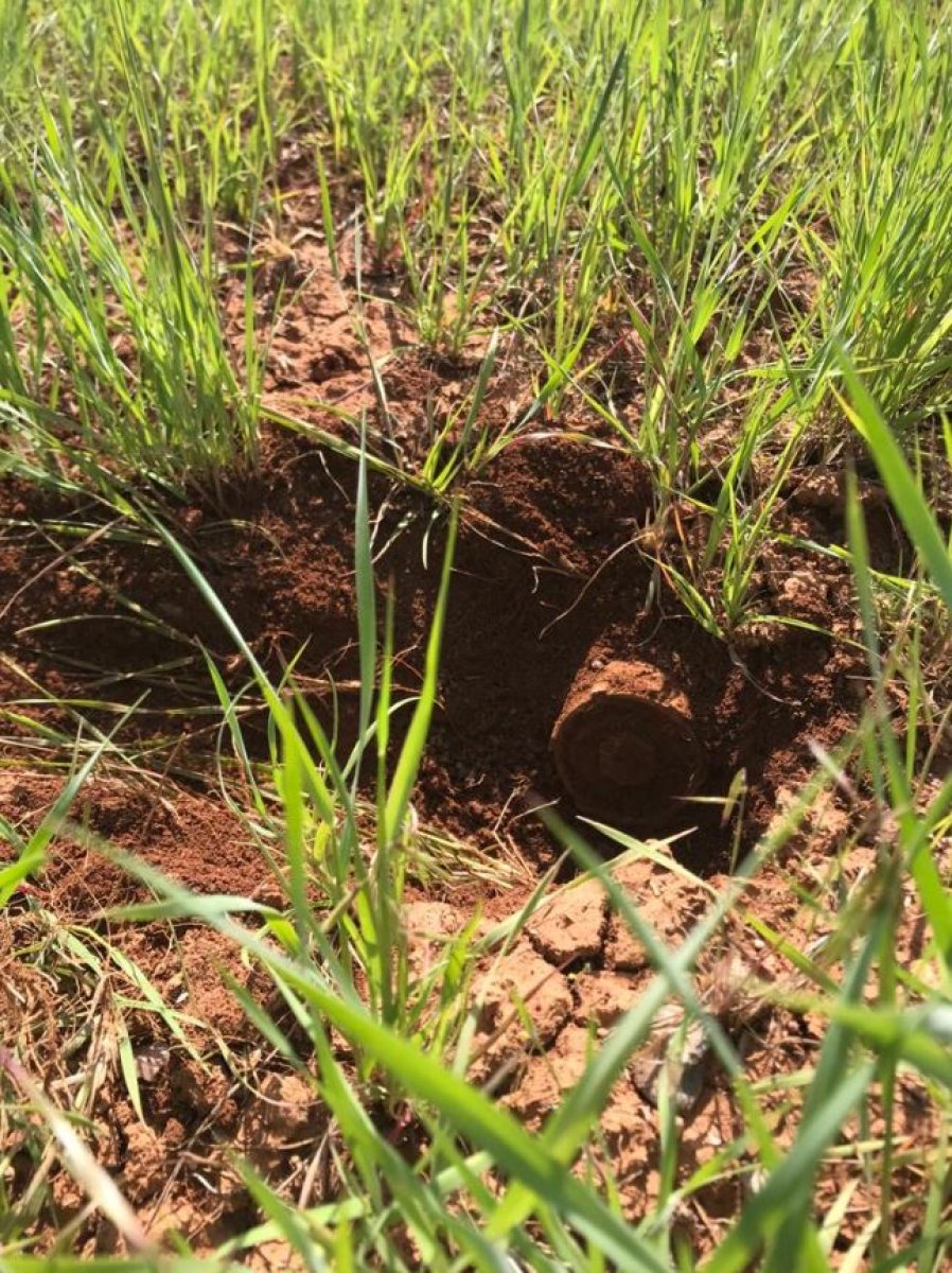 Suriye sınırında 21 mayın tespit edildi