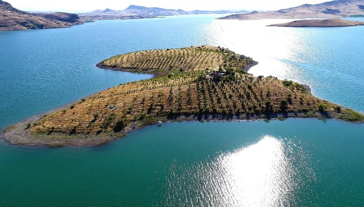 i Ziya dede 4 saatlik izinde adasına koştu