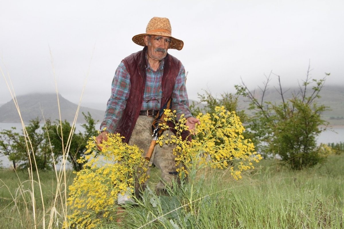 i Ziya dede 4 saatlik izinde adasına koştu