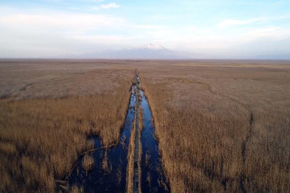 Kayseri'deki Sultan Sazlığı'nı görenler hayran kalıyor