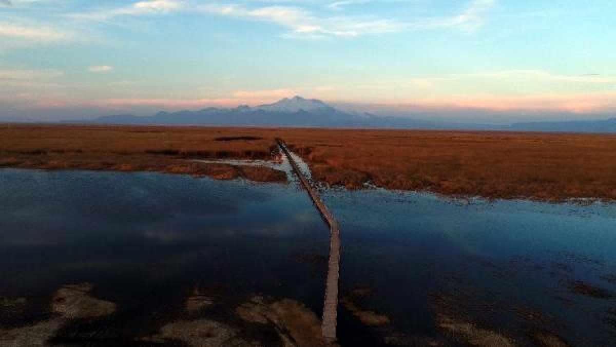 Kayseri'deki Sultan Sazlığı'nı görenler hayran kalıyor