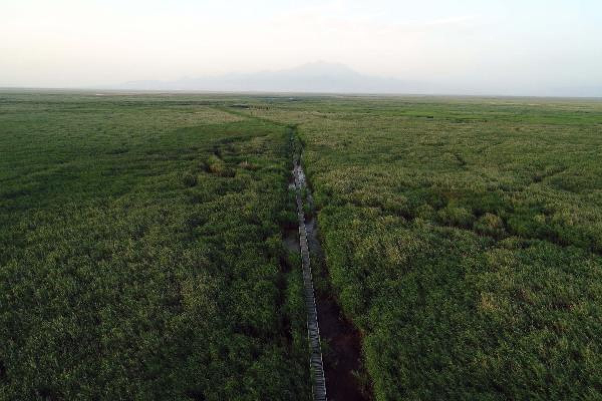 Kayseri'deki Sultan Sazlığı'nı görenler hayran kalıyor