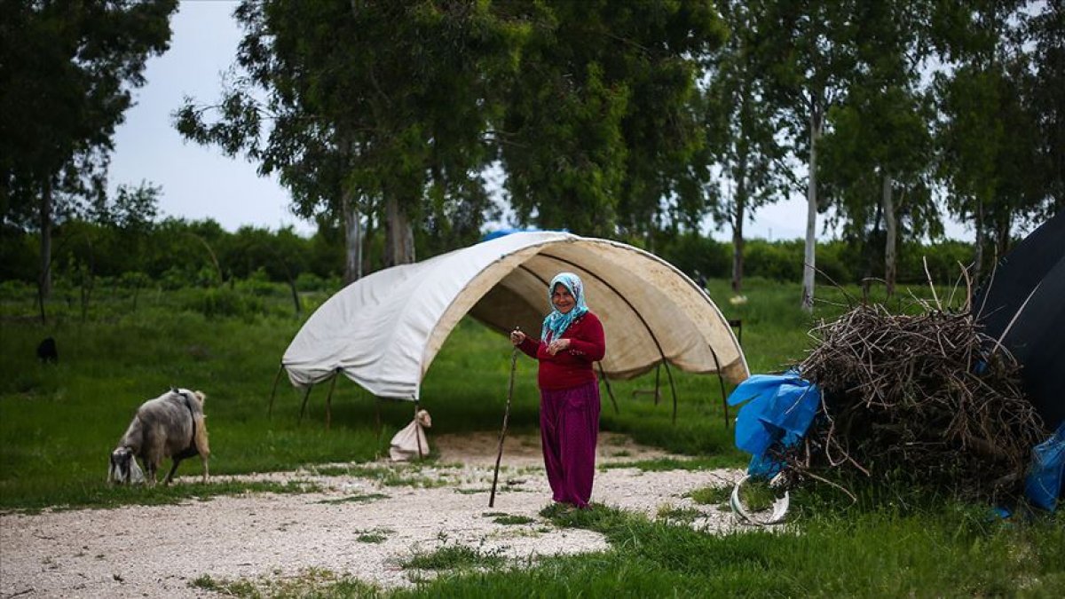 a Çukurova'da 'sarı sıcak', tarım işçilerini zorluyor