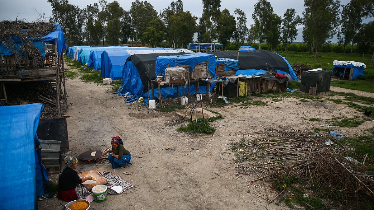 a Çukurova'da 'sarı sıcak', tarım işçilerini zorluyor