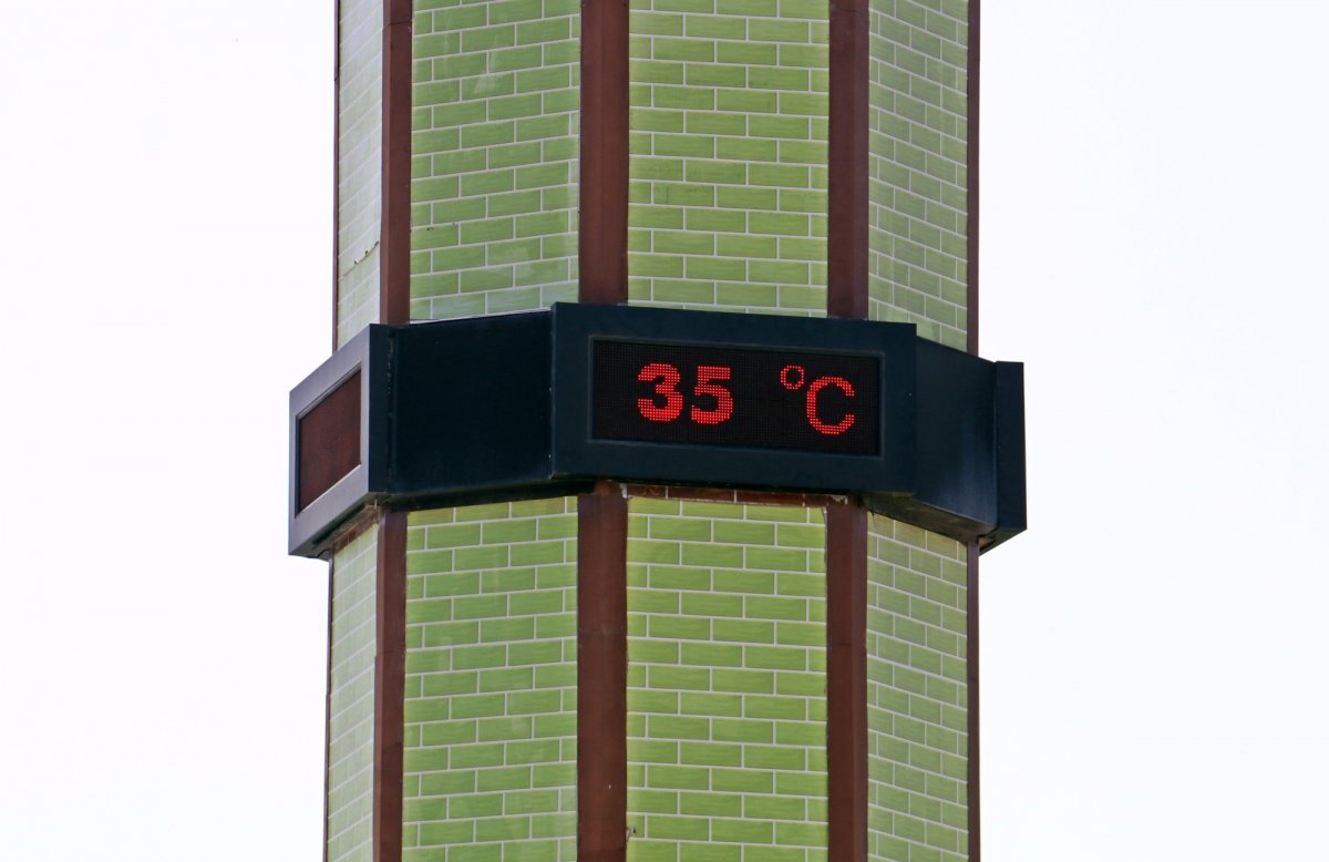 Gençler 4 saatlik izinde, soluğu ağaç gölgelerinde aldı