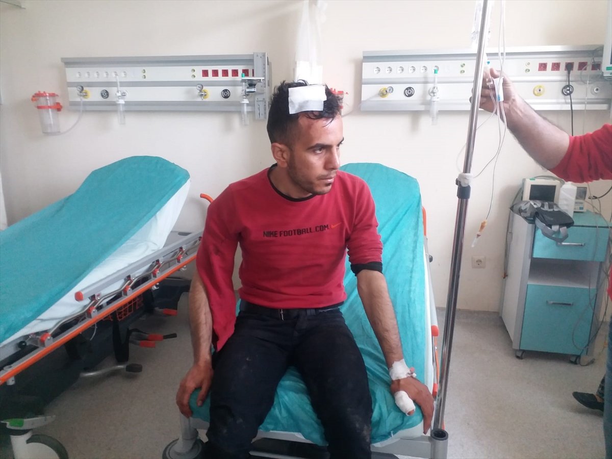 a Kars'ta, 20 yaşındaki genç ayının saldırsına uğradı