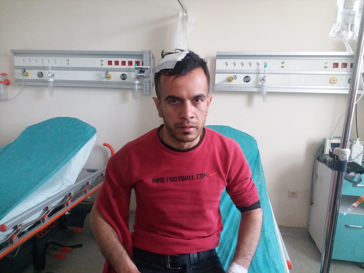 a Kars'ta, 20 yaşındaki genç ayının saldırsına uğradı