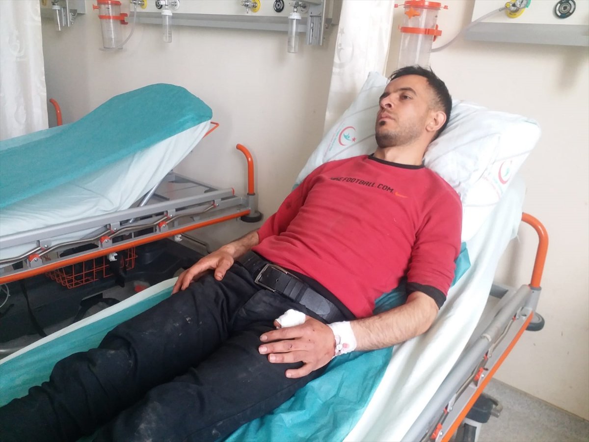 a Kars'ta, 20 yaşındaki genç ayının saldırsına uğradı