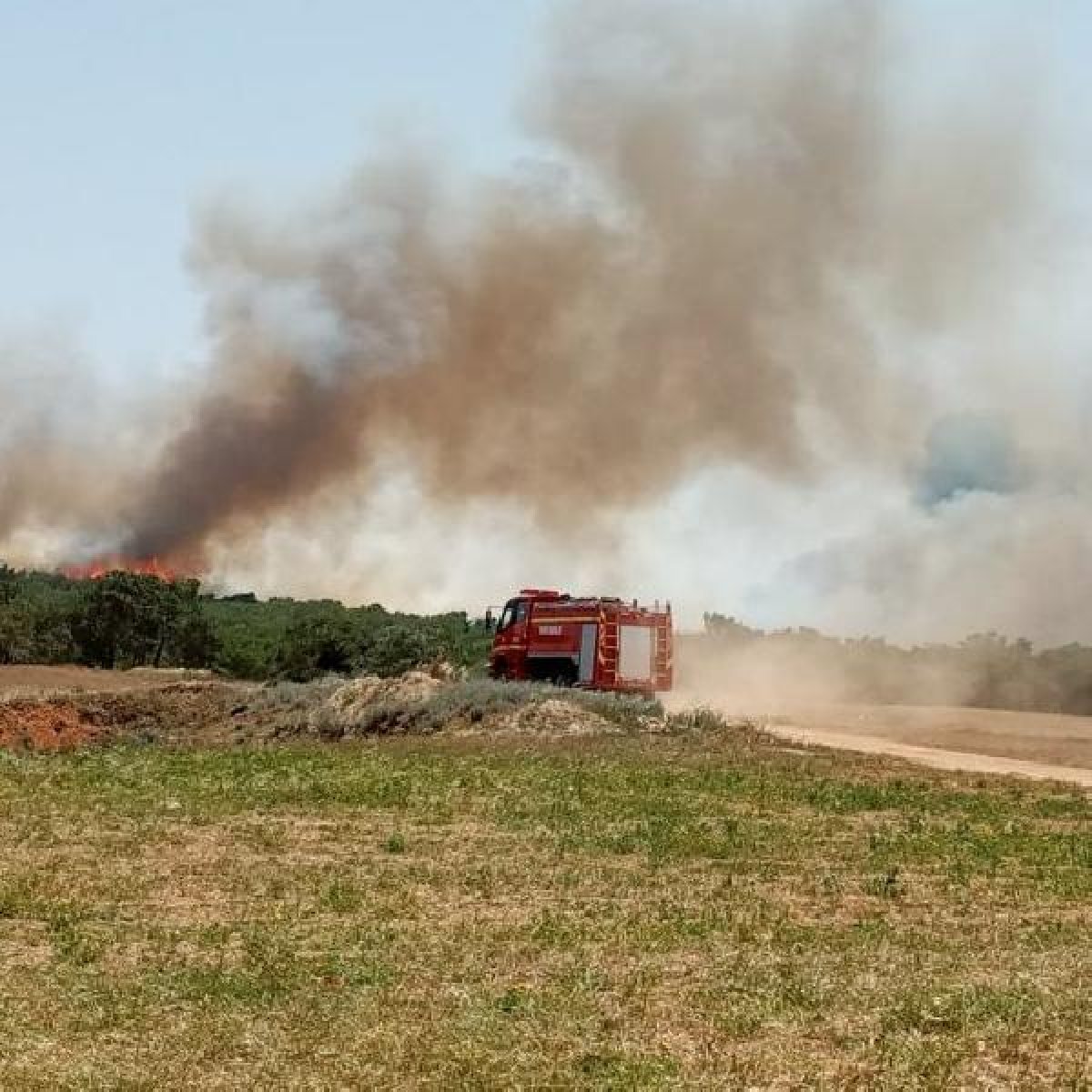 d KKTC'de orman yangını geniş alana yayıldı