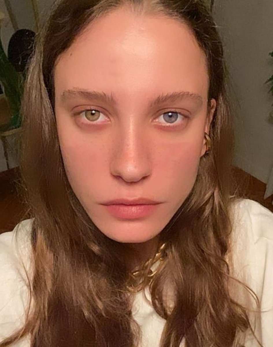 Serenay Sarıkaya, Ankara kedisine özendi