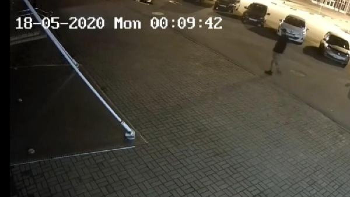 Rusya'da şehre inen ayı adama saldırdı