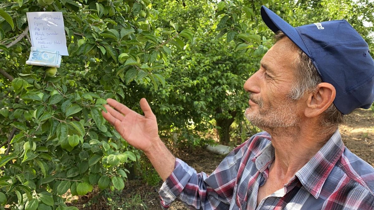 i Hamile eşi için topladığı eriğin parasını ağaca astı