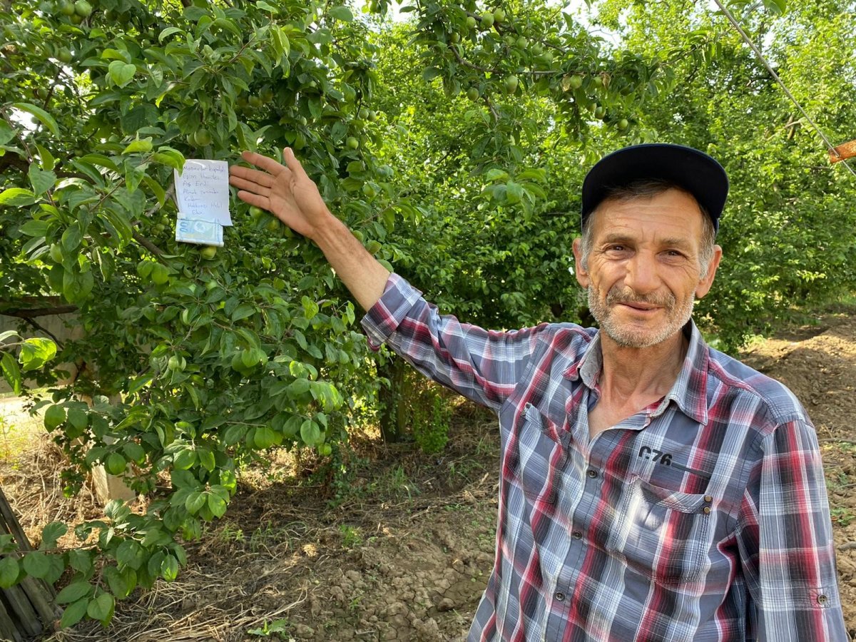 i Hamile eşi için topladığı eriğin parasını ağaca astı