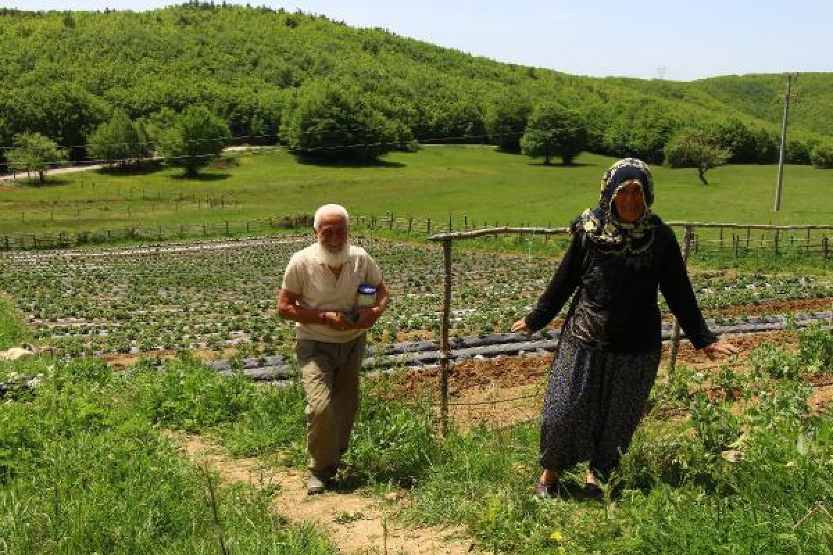 dha Emekli öğretmen çiftin toprak aşkı