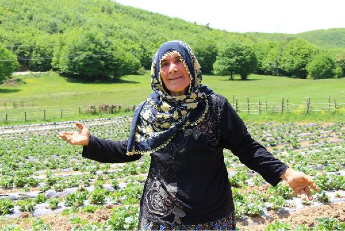 dha Emekli öğretmen çiftin toprak aşkı