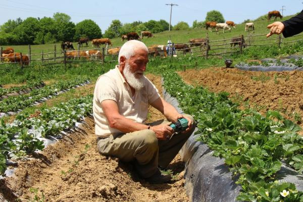 dha Emekli öğretmen çiftin toprak aşkı