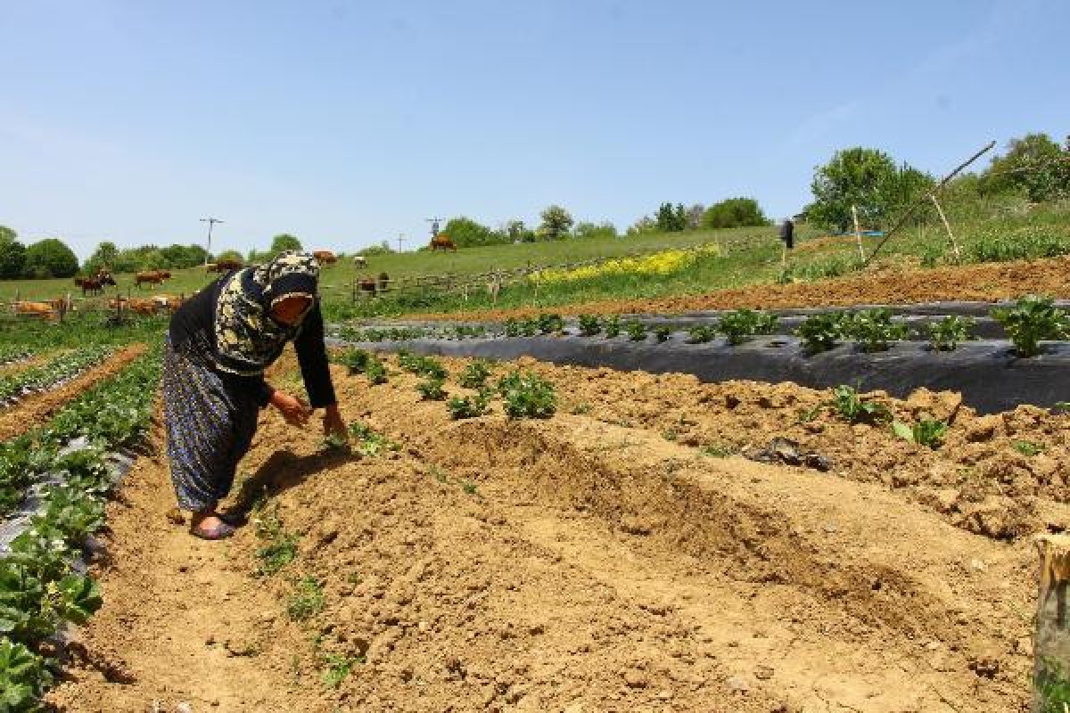 dha Emekli öğretmen çiftin toprak aşkı