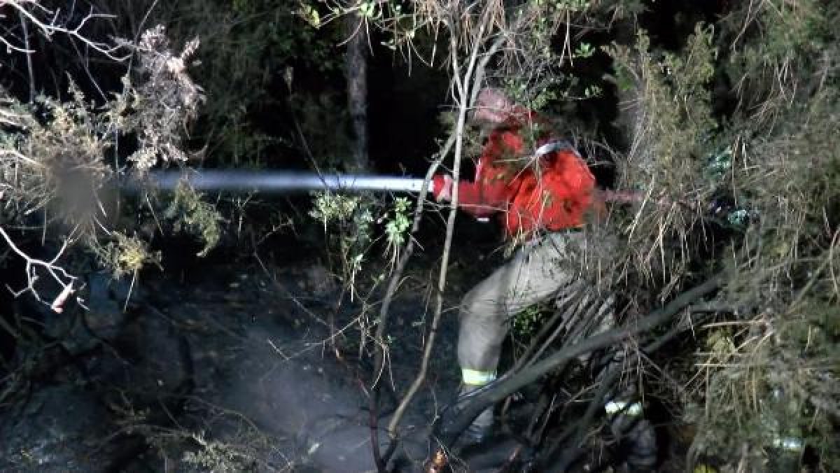 Aydos Ormanı’nda atılan havai fişek yangın çıkarttı
