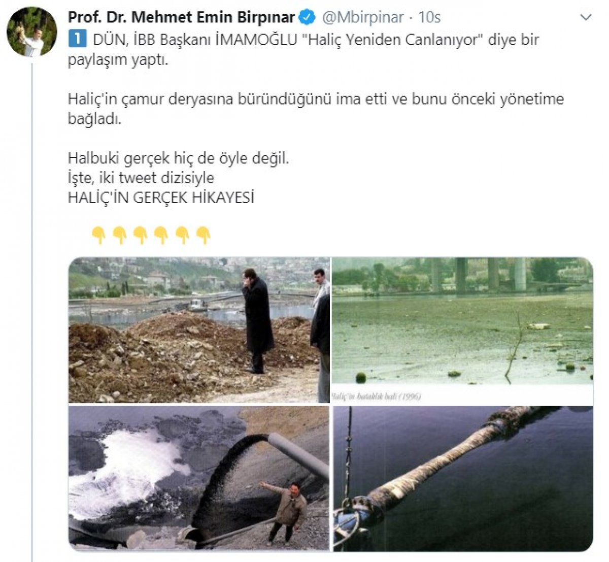 Bakan Yardımcısı Birpınar, Haliç gerçeğini yazdı