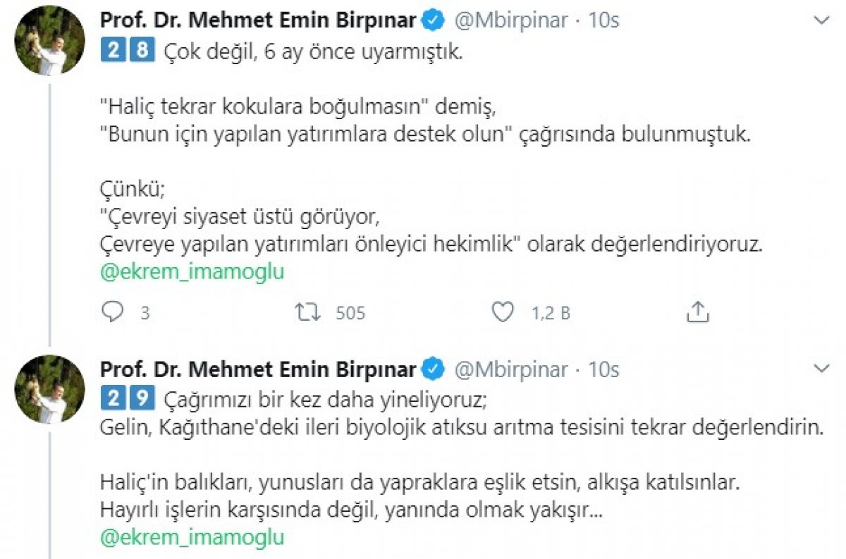 Bakan Yardımcısı Birpınar, Haliç gerçeğini yazdı