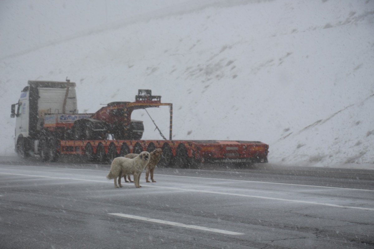 i Erzurum'a bayramda lapa lapa kar yağdı