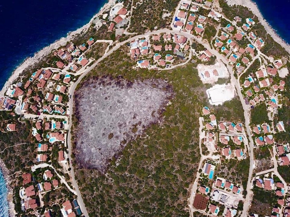 Kaş'ta yanan ormanlık alana imar çıktı