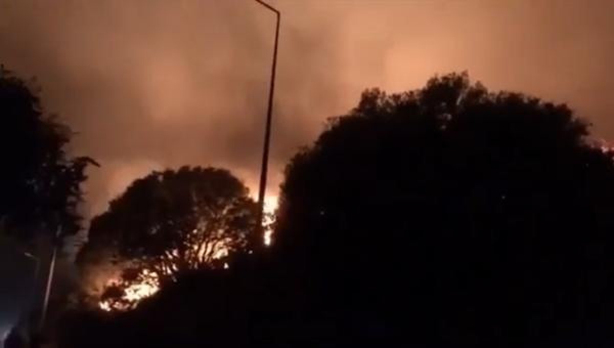 d Kaş'ta gece saatlerinde orman yangını çıktı