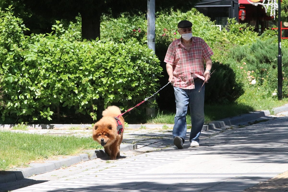 65 yaş üstü, bugün üçüncü kez dışarı çıktı