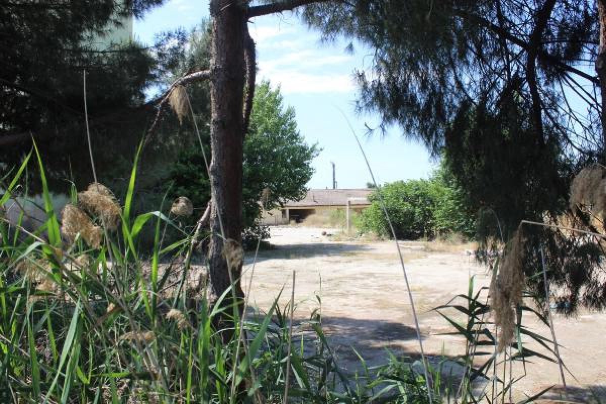 d Manisa'da 17 yaşındaki Ceren'in katil zanlısı yakalandı