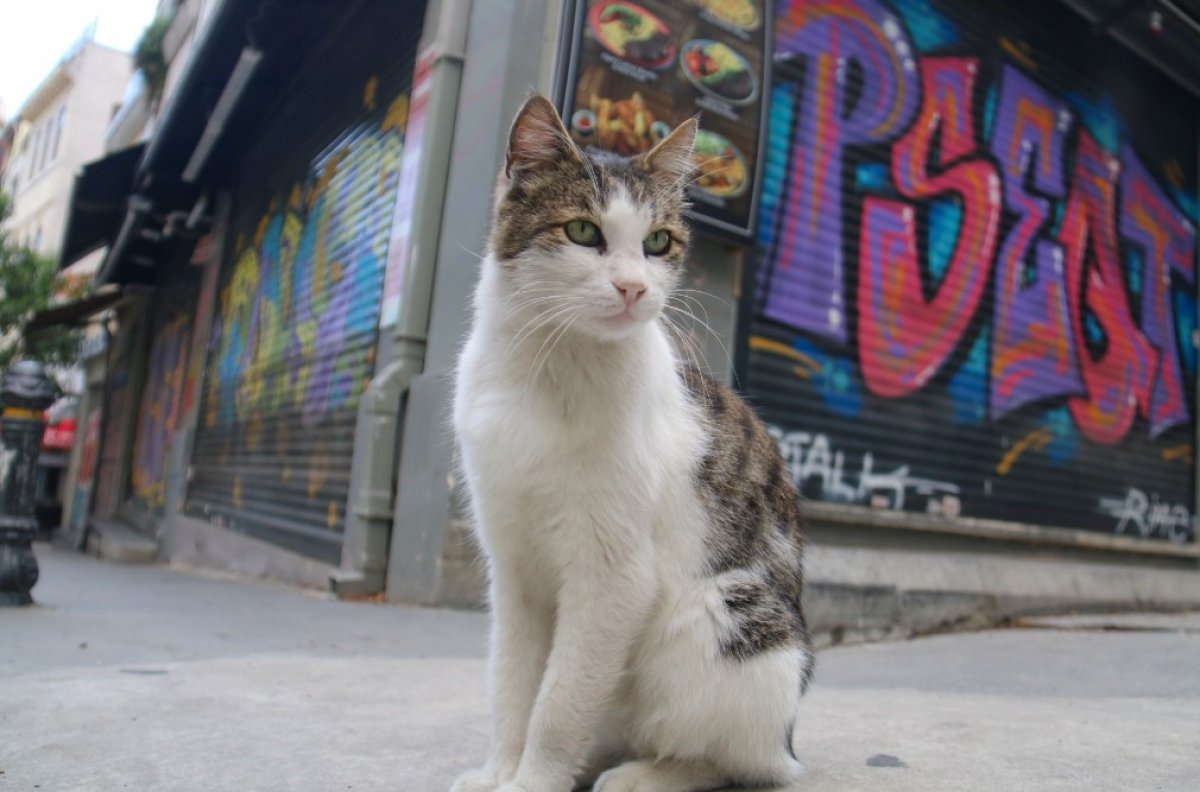 i Kepenklerin indiği İstanbul’da grafitiler konuşuyor