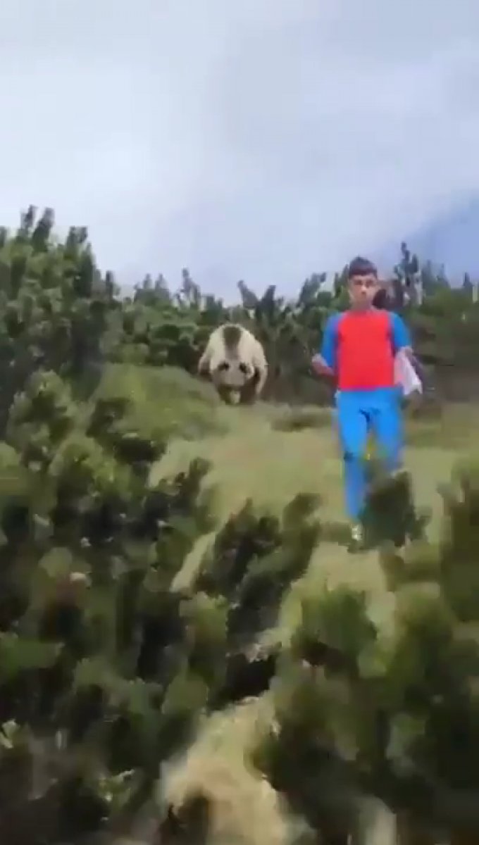 İtalya'da sakin kalan baba ve oğlu boz ayıdan kurtuldu