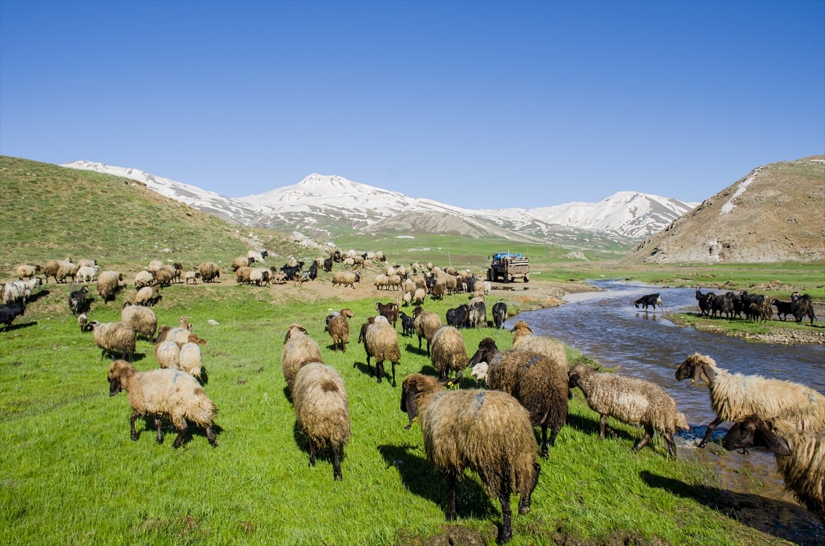 Faraşin Yaylası'ndan kartpostallık kareler