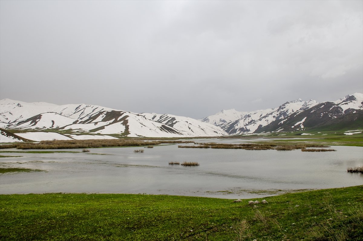 Faraşin Yaylası'ndan kartpostallık kareler