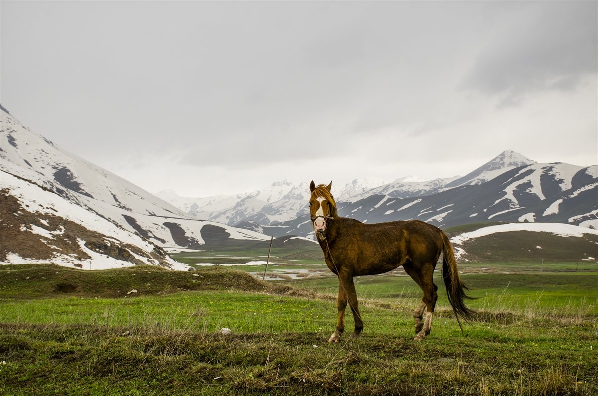 Faraşin Yaylası'ndan kartpostallık kareler